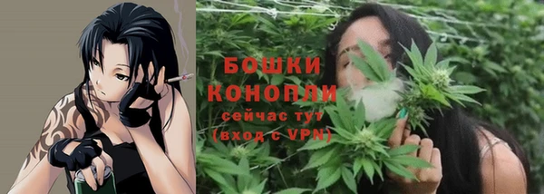 дмт Горнозаводск
