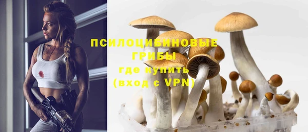 прущая мука Горняк