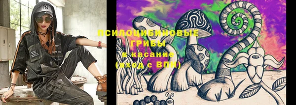 прущая мука Горняк